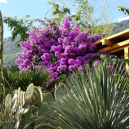 Villa Tropica, Total Privacy, Tropical Garden And Private Pool Kastela Exterior photo