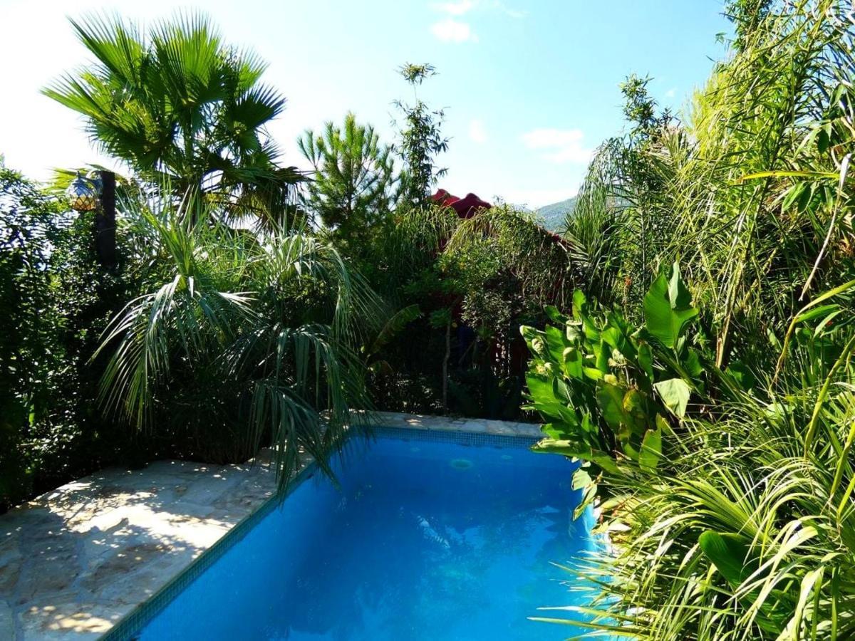 Villa Tropica, Total Privacy, Tropical Garden And Private Pool Kastela Exterior photo