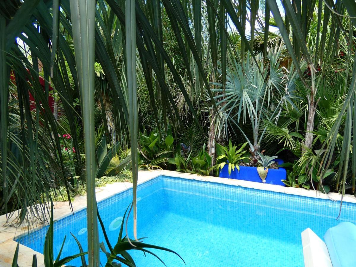 Villa Tropica, Total Privacy, Tropical Garden And Private Pool Kastela Exterior photo